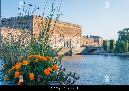 Facciata del Palazzo reale visto dietro fiori d'arancio a Stoccolma Svezia Stockholms slott Kungliga slottet Foto Stock