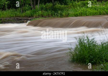 Prairie Creek attraversa la zona di pesca e fauna selvatica del fiume Des Plaines dopo 41/2 cm di pioggia, Will County, Illinois Foto Stock