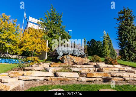 Provo, UT - 14 ottobre 2022: Cougar Mascot di fronte al Lavell Edwards Stadium nel campus della Brigham Young University, BYU, a Provo, Utah. Foto Stock