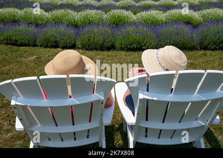 Le ragazze si allontanano il pomeriggio ai campi di lavanda sull'Isola di Washington, Door County, Wisconsin Foto Stock