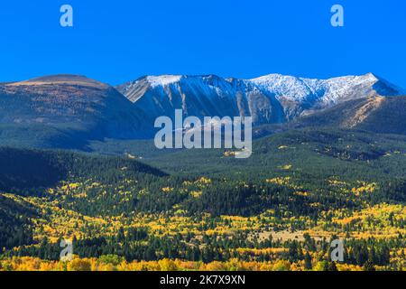 I colori dell'autunno sotto il monte haggin in anaconda intervallo vicino anaconda, montana Foto Stock