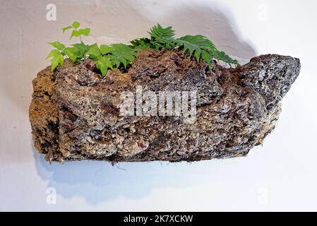 Muro di pietra di roccia vulcanica a Lanzarote. Primo piano di pareti di pietra a secco fatte di rocce vulcaniche sfondo Foto Stock