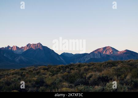 Luce dell'alba che illumina un'aspra cima di montagna nella Sierra Nevada orientale con il primo piano del deserto Foto Stock