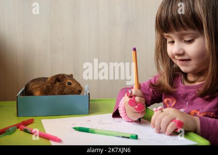 Ritratto di bambina che disegna a tavola con un porcellino d'India seduto accanto a lei. Bambina che gioca con il suo animale domestico. Foto Stock