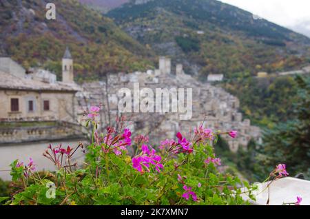 Panoramica di Pacentro (AQ) - uno dei borghi più belli d'Italia: In primo piano una pianta di geranio. Foto Stock