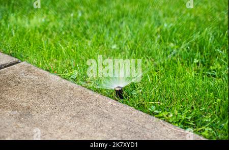 Irrigatore automatico per prato da giardino in azione per innaffiare l'erba. Impianto automatico di irrigazione del giardino con diversi sprinkler installati sotto il manto erboso. Paesaggio d Foto Stock