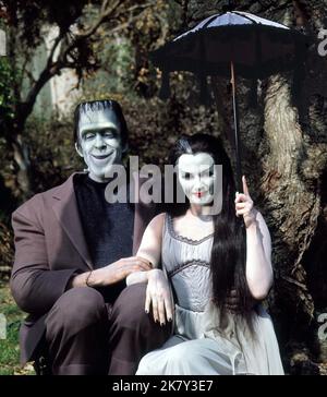 Fred Gwynne & Yvonne De Carlo Televisione: I munier (TV-Serie) personaggi: Herman Munster, Lily Munster USA 1964-1966, 24 settembre 1964 **AVVERTENZA** questa fotografia è solo per uso editoriale ed è copyright di CBS e/o del fotografo assegnato dalla Film o dalla Production Company e può essere riprodotta solo da pubblicazioni in concomitanza con la promozione del film di cui sopra. È richiesto un credito obbligatorio a CBS. Il fotografo deve essere accreditato anche quando è noto. Nessun uso commerciale può essere concesso senza autorizzazione scritta da parte della Film Company. Foto Stock