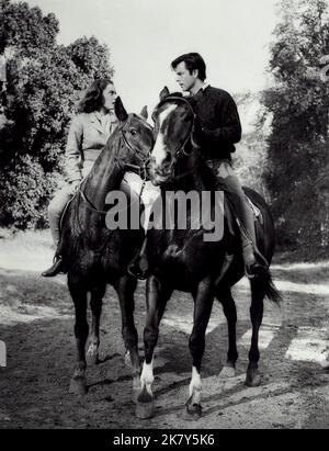 Natalie Wood & Robert Wagner Film: Tutti i piccoli cannibali (USA 1960) regista: Michael Anderson 15 settembre 1960 **AVVERTENZA** questa fotografia è solo per uso editoriale ed è copyright di MGM e/o del fotografo assegnato dalla Film o dalla Production Company e può essere riprodotta solo da pubblicazioni in concomitanza con la promozione del film di cui sopra. È richiesto un credito obbligatorio a MGM. Il fotografo deve essere accreditato anche quando è noto. Nessun uso commerciale può essere concesso senza autorizzazione scritta da parte della Film Company. Foto Stock