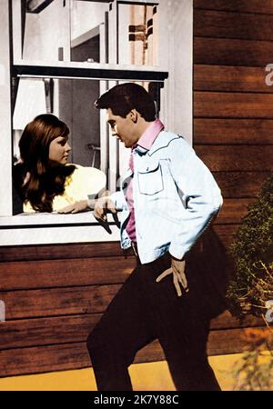 Jocelyn Lane & Elvis Presley Film: Tickle Me (USA 1965) personaggi: PAM Meritt & Lonnie Beale / Panhandle Kid regista: Norman Taurog 30 giugno 1965 **AVVERTENZA** questa fotografia è solo per uso editoriale ed è copyright degli ARTISTI ALLEATI e/o del fotografo assegnato dalla Film o dalla Production Company e può essere riprodotta solo da pubblicazioni in concomitanza con la promozione del film di cui sopra. È richiesto un credito obbligatorio per GLI ARTISTI ALLEATI. Il fotografo deve essere accreditato anche quando è noto. Nessun uso commerciale può essere concesso senza autorizzazione scritta da parte della Film Company. Foto Stock