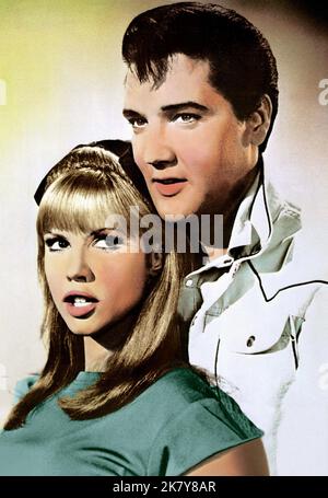 Jocelyn Lane & Elvis Presley Film: Tickle Me (USA 1965) personaggi: PAM Meritt & Lonnie Beale / Panhandle Kid regista: Norman Taurog 30 giugno 1965 **AVVERTENZA** questa fotografia è solo per uso editoriale ed è copyright degli ARTISTI ALLEATI e/o del fotografo assegnato dalla Film o dalla Production Company e può essere riprodotta solo da pubblicazioni in concomitanza con la promozione del film di cui sopra. È richiesto un credito obbligatorio per GLI ARTISTI ALLEATI. Il fotografo deve essere accreditato anche quando è noto. Nessun uso commerciale può essere concesso senza autorizzazione scritta da parte della Film Company. Foto Stock