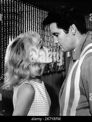 Nancy Sinatra & Elvis Presley Film: Speedway (USA 1968) personaggi: Susan Jacks & Steve Grayson regista: Norman Taurog 15 aprile 1968 **AVVERTENZA** questa fotografia è solo per uso editoriale ed è copyright di MGM e/o del fotografo assegnato dalla Film o dalla Production Company e può essere riprodotta solo da pubblicazioni in concomitanza con la promozione del film di cui sopra. È richiesto un credito obbligatorio a MGM. Il fotografo deve essere accreditato anche quando è noto. Nessun uso commerciale può essere concesso senza autorizzazione scritta da parte della Film Company. Foto Stock