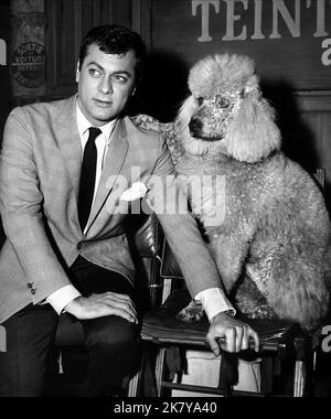 Tony Curtis Film: Wild and Wonderful (USA 1964) personaggi: Terry Williams regista: Michael Anderson 09 maggio 1964 **AVVERTENZA** questa fotografia è solo per uso editoriale ed è copyright di IMMAGINI UNIVERSALI e/o del fotografo assegnato dalla Film o dalla Production Company e può essere riprodotta solo da pubblicazioni in concomitanza con la promozione del film di cui sopra. È richiesto un credito obbligatorio per LE FOTO UNIVERSALI. Il fotografo deve essere accreditato anche quando è noto. Nessun uso commerciale può essere concesso senza autorizzazione scritta da parte della Film Company. Foto Stock