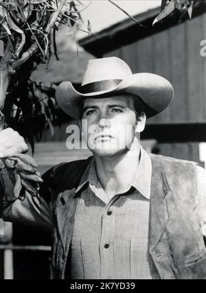 Lee Majors Film: The Big Valley (serie TV) personaggi: Heath Barkley USA 1965-1969, 15 settembre 1965 **AVVERTENZA** questa fotografia è solo per uso editoriale ed è copyright di ABC e/o del fotografo assegnato dalla Film o dalla Production Company e può essere riprodotta solo da pubblicazioni in concomitanza con la promozione del film di cui sopra. È richiesto un credito obbligatorio per ABC. Il fotografo deve essere accreditato anche quando è noto. Nessun uso commerciale può essere concesso senza autorizzazione scritta da parte della Film Company. Foto Stock