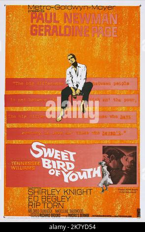 Paul Newman & Geraldine Page Poster Film: Sweet Bird of Youth (USA 1962) personaggi: Chance Wayne, Alexandra del Lago / Literaturverfilmung (basato sul gioco di Tennessee Williams) regista: Richard Brooks 21 marzo 1962 **AVVERTIMENTO** questa fotografia è solo per uso editoriale ed è copyright di ROXBURY PRODUCTIONS INC. E/o il fotografo assegnato dalla Film o dalla Società di produzione e può essere riprodotto solo da pubblicazioni in concomitanza con la promozione del film di cui sopra. Un credito obbligatorio a ROXBURY PRODUCTIONS INC. è obbligatorio. Il fotografo dovrebbe anche essere accreditato quando lo sa Foto Stock
