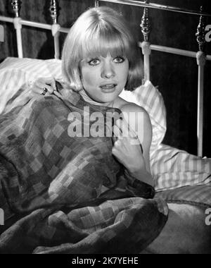 Judy Geeson Film: La prudenza e la pillola (1968) personaggi: Geraldine Hardcastle regista: Fielder Cook & Ronald Neame 23 maggio 1968 **AVVERTENZA** questa fotografia è solo per uso editoriale ed è copyright di 20th CENTURY FOX e/o del fotografo assegnato dalla Film o dalla Production Company e può essere riprodotta solo da pubblicazioni in concomitanza con la promozione del film di cui sopra. È richiesto un credito obbligatorio a 20th CENTURY FOX. Il fotografo deve essere accreditato anche quando è noto. Nessun uso commerciale può essere concesso senza autorizzazione scritta da parte della Film Company. Foto Stock