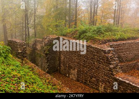 Vista autunnale delle rovine del castello di Potstejn, Repubblica Ceca Foto Stock