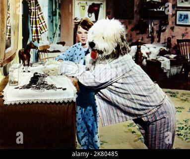 Kevin Corcoran & Sheepdog Film: The Shaggy Dog (USA 1959) personaggi: Moochie (Montgomery) Daniels & regista: Charles Barton 19 marzo 1959 **AVVERTENZA** questa fotografia è solo per uso editoriale ed è copyright di WALT DISNEY e/o del fotografo assegnato dalla Film o dalla Production Company e può essere riprodotta solo da pubblicazioni in concomitanza con la promozione del film di cui sopra. È richiesto un credito obbligatorio a WALT DISNEY. Il fotografo deve essere accreditato anche quando è noto. Nessun uso commerciale può essere concesso senza autorizzazione scritta da parte della Film Company. Foto Stock