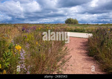 Bellissimo sentiero attraverso un colorato giardino fiorito situato al Lakeshore state Park Milwaukee Wisconsin Foto Stock