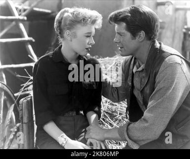 Barbara Ruick & Robert Horton Film: Apache War Smoke (1952) personaggi: Nancy Dekker, Tom Herrera regista: Harold F. Kress 25 settembre 1952 **AVVERTENZA** questa fotografia è solo per uso editoriale ed è copyright di MGM e/o del fotografo assegnato dalla Film o dalla Production Company e può essere riprodotta solo da pubblicazioni in concomitanza con la promozione del film di cui sopra. È richiesto un credito obbligatorio a MGM. Il fotografo deve essere accreditato anche quando è noto. Nessun uso commerciale può essere concesso senza autorizzazione scritta da parte della Film Company. Foto Stock