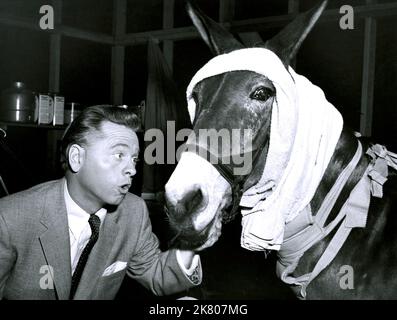 Mickey Rooney & Horse Film: Francis in the Haunted House (1956) personaggi: David Prescott regista: Charles Lamont 09 luglio 1956 **AVVERTENZA** questa fotografia è solo per uso editoriale ed è copyright di UI e/o del fotografo assegnato dalla Film o dalla Production Company e può essere riprodotta solo da pubblicazioni in concomitanza con la promozione del film di cui sopra. È richiesto un credito obbligatorio all'interfaccia utente. Il fotografo deve essere accreditato anche quando è noto. Nessun uso commerciale può essere concesso senza autorizzazione scritta da parte della Film Company. Foto Stock