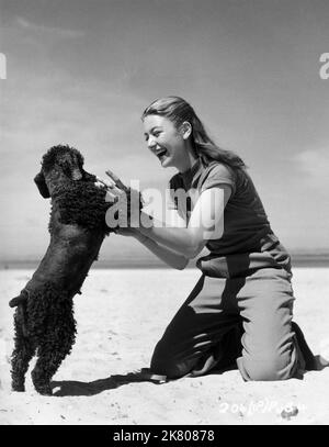 Aimee & Poodle Film di Anouk: The Golden Salamander (1950) regista: Ronald Neame 01 settembre 1950 **AVVERTENZA** questa fotografia è solo per uso editoriale ed è copyright di RANK e/o del fotografo assegnato dalla Film o dalla Production Company e può essere riprodotta solo da pubblicazioni in concomitanza con la promozione del film di cui sopra. È richiesto un credito obbligatorio per LA CLASSIFICA. Il fotografo deve essere accreditato anche quando è noto. Nessun uso commerciale può essere concesso senza autorizzazione scritta da parte della Film Company. Foto Stock