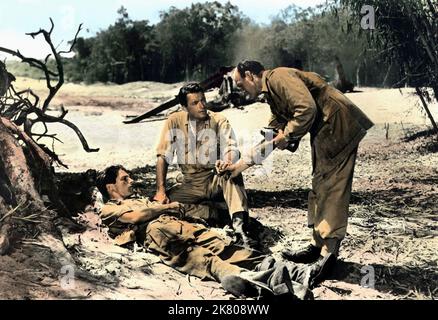 Gregory Peck Film: The Purple Plain (1955) personaggi: Squadron leader Bill Forrester regista: Robert Parrish 14 settembre 1954 **AVVERTENZA** questa fotografia è solo per uso editoriale ed è copyright dell'ORGANIZZAZIONE DI RANGO e/o del fotografo assegnato dalla Film o dalla Società di produzione e può essere riprodotta solo da pubblicazioni in concomitanza con la promozione del film di cui sopra. È richiesto un credito obbligatorio per CLASSIFICARE L'ORGANIZZAZIONE. Il fotografo deve essere accreditato anche quando è noto. Nessun uso commerciale può essere concesso senza autorizzazione scritta da parte della Film Company. Foto Stock