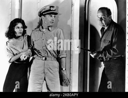 Dorothy Dandridge, James Mason & Broderick Crawford Film: The Decks Ran Red (1958) personaggi: Mahia, Capt. Edwin Rummill & Henry Scott Direttore: Andrew L. Stone 10 ottobre 1958 **AVVERTENZA** questa fotografia è solo per uso editoriale ed è copyright di MGM e/o del fotografo assegnato dalla Film o dalla Production Company e può essere riprodotta solo da pubblicazioni in concomitanza con la promozione del film di cui sopra. È richiesto un credito obbligatorio a MGM. Il fotografo deve essere accreditato anche quando è noto. Nessun uso commerciale può essere concesso senza autorizzazione scritta da parte della Film Company. Foto Stock