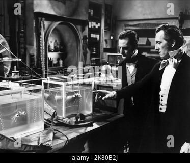 Francis Matthews & Peter Cushing Film: La vendetta di Frankenstein; sangue di Frankenstein; i Frankenstein (1954) personaggi: Dr. Hans Kleve & Dr. Victor Stein regista: Terence Fisher 01 giugno 1958 **AVVERTENZA** questa fotografia è solo per uso editoriale ed è copyright delle IMMAGINI COLUMBIA e/o del fotografo assegnato dalla Film o dalla Production Company e può essere riprodotta solo da pubblicazioni in concomitanza con la promozione del film di cui sopra. È richiesto un credito obbligatorio per LE FOTO DI COLUMBIA. Il fotografo deve essere accreditato anche quando è noto. Nessun uso commerciale può essere concesso wi Foto Stock