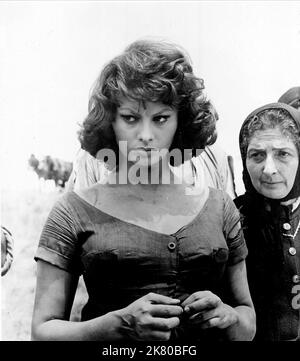 Sophia Loren Film The Pride and the Passion (USA 1957) personaggi: Juana regista: Stanley Kramer 10 luglio 1957 **ATTENZIONE** questa fotografia è ad uso esclusivamente editoriale ed è copyright di UNITED ARTISTS e/o del fotografo assegnato dalla Film o Production Company e può essere riprodotta solo da pubblicazioni in concomitanza con la promozione del suddetto Film. È richiesto un credito obbligatorio per GLI ARTISTI UNITI. Il fotografo deve essere accreditato anche se conosciuto. Nessun uso commerciale può essere concesso senza l'autorizzazione scritta di The Film Company. Foto Stock