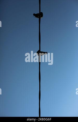 Due piccioni in filo contro il cielo. Uccelli su fili. Filo elettrico sospeso in aria. Dettagli della vita degli uccelli. Foto Stock