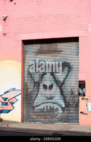 Una faccia di gorilla dipinta su una porta a rulli da un artista non identificato dal 2014, in Goodsell Street vicino a May Lane, nel sobborgo di St Peters di Sydney Foto Stock