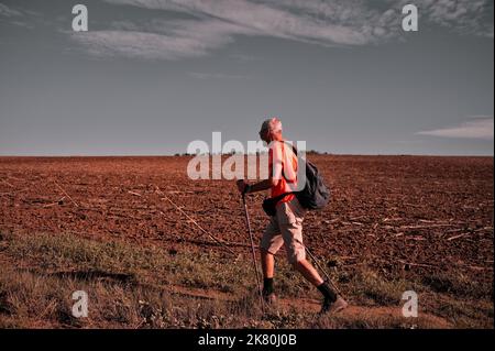 Vista posteriore dell'uomo anziano che fa escursioni nella natura Foto Stock