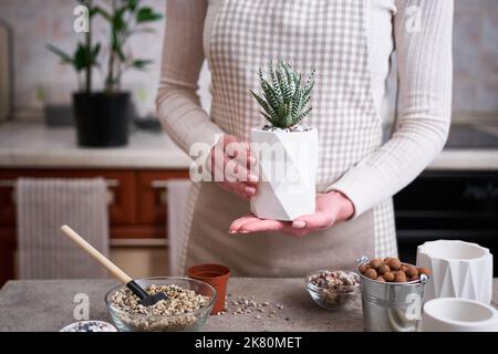 Donna in possesso di vaso succulento haworthia pianta in bianco ceramica Pot Foto Stock