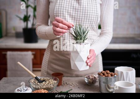 Donna in possesso di vaso succulento haworthia pianta in bianco ceramica Pot Foto Stock