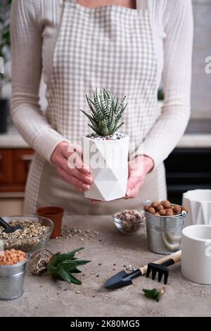 Donna in possesso di vaso succulento haworthia pianta in bianco ceramica Pot Foto Stock