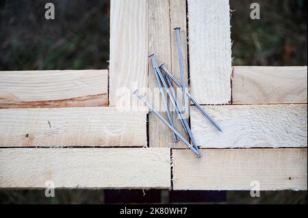 Primo piano di chiodi che posano su fondazione di palo di legno per casa di telaio futura. Sito di costruzione e concetto di strumento di lavoro. Foto Stock