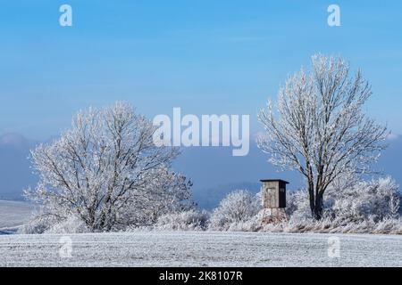 Torre di osservazione in legno per la caccia nel paesaggio invernale con alberi ghiacciati e cielo blu Foto Stock