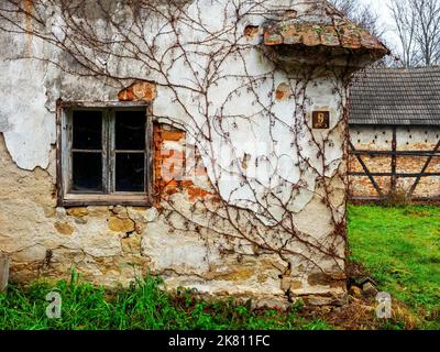 abbandonata vecchia casa di campagna con mura spaccate con edera su di essa Foto Stock