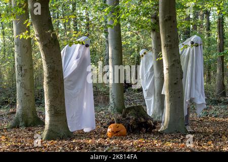 Tre fantasmi stanno avendo una festa di Halloween nei boschi Foto Stock