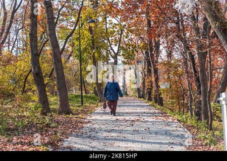 Vladivostok, Russia. 20th Ott 2022. Un cittadino cammina in un parco a Vladivostok, Russia, 20 ottobre 2022. Credit: Guo Feizhou/Xinhua/Alamy Live News Foto Stock