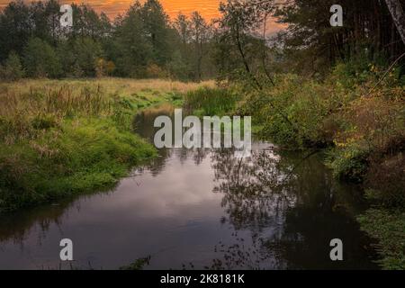 Inizio dell'autunno sul fiume Grabia illuminato dal sole, Polonia. Foto Stock