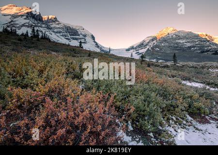 Sun Catching Mountain Tops, Columbian Icefield, Canadian Rockies, Canada Foto Stock