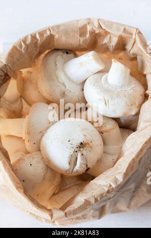 Funghi di tazza chiusi in un sacchetto di carta marrone. Imballaggi compostabili per il riciclaggio ecocompatibili. Foto Stock