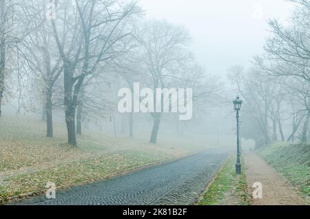 Petrovaradin fortezza in inverno, paesaggio misteriosa. Una vista panoramica sulla fortezza di Petrovaradin nel periodo invernale della giornata. Foto Stock