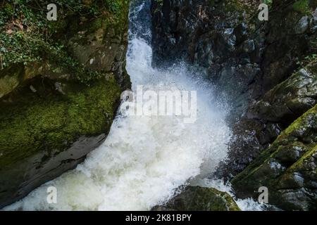 L'acqua autunnale si schiantano e schiumano attraverso la stretta gola, Aira Force, Lago Ullswater, Lake District, Cumbria, REGNO UNITO Foto Stock