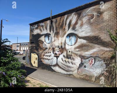 Un'arte di graffiti di strada di gatto e topo in Leamington Spa Foto Stock