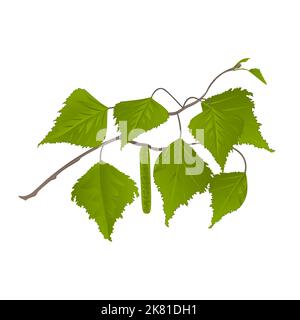 Twig Birch con catkins sfondo naturale vettore illustrazione Illustrazione Vettoriale