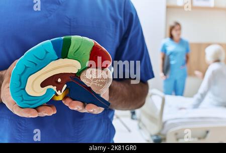 Recupero di donne anziane dopo ictus in sala ospedale con medico e infermiere. Neurologo che tiene modello anatomico del cervello umano, immagine concettuale Foto Stock