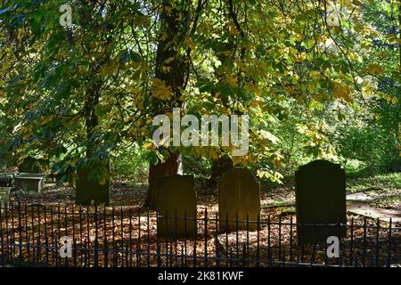 Colori autunnali, al sole, cimitero di Haworth Parsonage, West Yorkshire Foto Stock