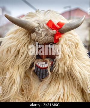 MOHACS, UNGHERIA - 26 FEBBRAIO: Persone non identificate in maschera partecipanti al Mohacsi Busojaras, è un carnevale per i saluti di primavera) 26 febbraio, Foto Stock